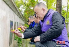 评论：清明代祭扫